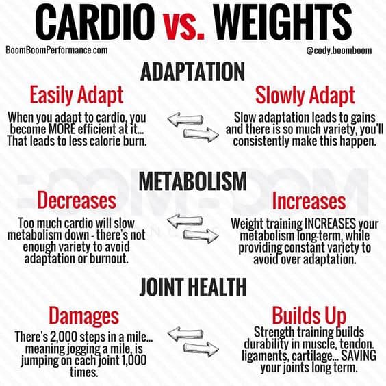 Cardio Vs Weight Training Ace Fitness Center
