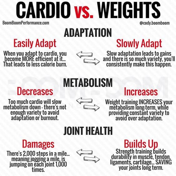 Cardio vs Weight Training ACE Fitness Center