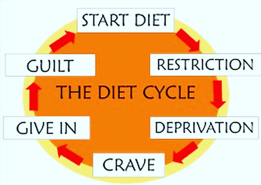 The Diet Cycle